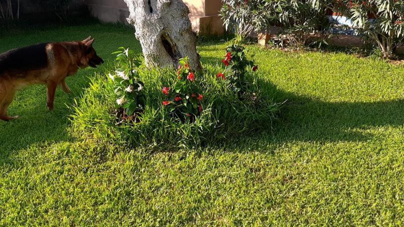 Villa Girasole Monteroni di Lecce Εξωτερικό φωτογραφία